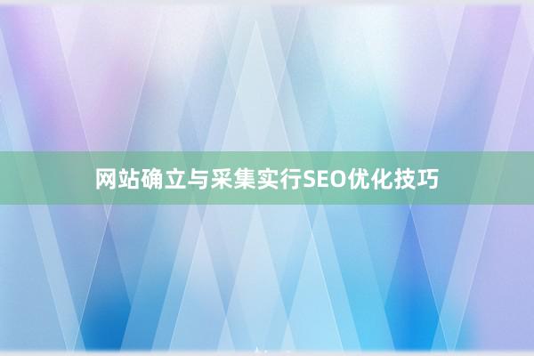 网站确立与采集实行SEO优化技巧